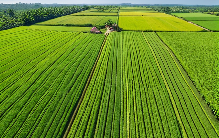 **A drone surveying a lush green agricultural field in Thailand.** The image should showcase the drone in flight, capturing an aerial view of the farmland with various crops and fields. The scene should be bright and sunny, emphasizing the technology's role in modern agriculture.